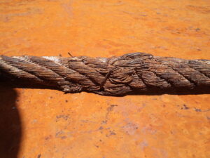 DSC00316-scaled.jpg