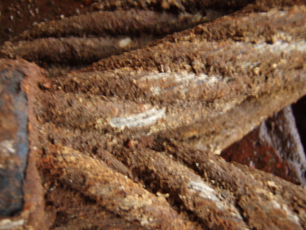 FlukE-06-10-08-054-1.jpg